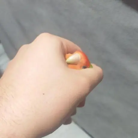 Luis Lopez, Developer